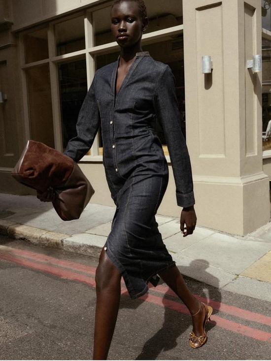 Zara Dresses & Skirts - Zara Denim Button-Front Midi Dress